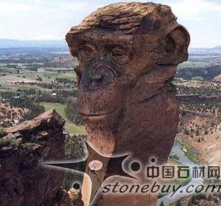 奇石--肖像石的收藏保养技巧 （图）(图1)