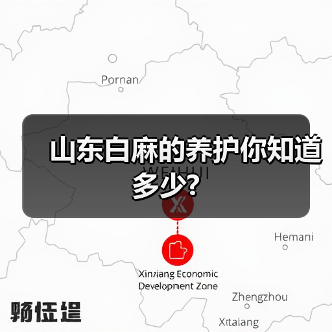 山东白麻的养护你知道多少?（图1）