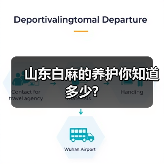 山东白麻的养护你知道多少?（图2）