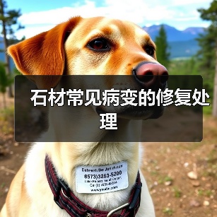 石材常见病变的修复处理(图4) 石材常见病变的修复处理(图4)