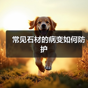 常见石材的病变如何防护（图1）