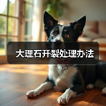大理石开裂处理办法(图1) 大理石开裂处理办法(图1)