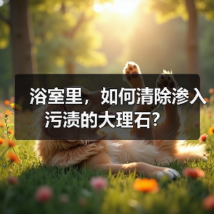 浴室里，如何清除渗入污渍的大理石？（图4）