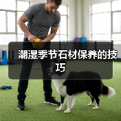 潮湿季节石材保养的技巧(图4) 潮湿季节石材保养的技巧(图4)