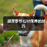 潮湿季节石材保养的技巧(图3) 潮湿季节石材保养的技巧(图3)