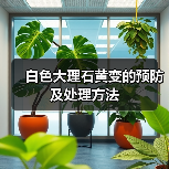 白色大理石黄变的预防及处理方法(图3) 白色大理石黄变的预防及处理方法(图3)