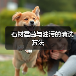 石材霉菌与油污的清洗方法(图3) 石材霉菌与油污的清洗方法(图3)