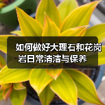 如何做好大理石和花岗岩日常清洁与保养(图4) 如何做好大理石和花岗岩日常清洁与保养(图4)