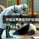 砂岩及其表面防护处理（图3）