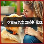 砂岩及其表面防护处理（图4）