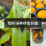 如何保养砂岩台面(图4) 如何保养砂岩台面(图4)