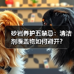 砂岩养护五禁忌:清洁剂覆盖物如何避开?(图4) 砂岩养护五禁忌:清洁剂覆盖物如何避开?(图4)