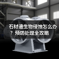 石材遭生物侵蚀怎么办？预防处理全攻略（图1）