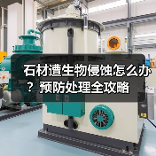 石材遭生物侵蚀怎么办？预防处理全攻略（图2）