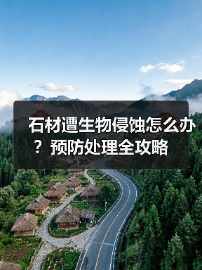 石材遭生物侵蚀怎么办？预防处理全攻略（图3）