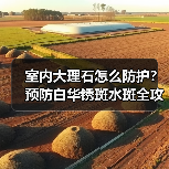 室内大理石怎么防护？预防白华锈斑水斑全攻略（图3）