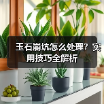 玉石崩坑怎么处理?实用技巧全解析(图3) 玉石崩坑怎么处理?实用技巧全解析(图3)