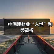 中国建材业“入世”利弊简析（图1）