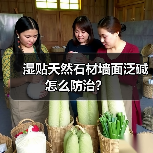 湿贴天然石材墙面泛碱怎么防治?(图4) 湿贴天然石材墙面泛碱怎么防治?(图4)