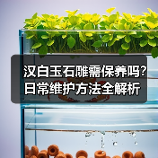 汉白玉石雕需保养吗?日常维护方法全解析(图3) 汉白玉石雕需保养吗?日常维护方法全解析(图3)