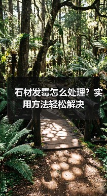 石材发霉怎么处理？实用方法轻松解决（图2）