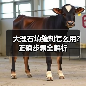 大理石填缝剂怎么用？正确步骤全解析（图3）