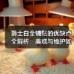 爵士白全铺贴的优缺点全解析：美观与维护如何平衡？（图4）