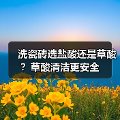 洗瓷砖选盐酸还是草酸?草酸清洁更安全(图1) 洗瓷砖选盐酸还是草酸?草酸清洁更安全(图1)