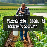 雅士白吐黄、渗油、缝隙发黑怎么处理?(图1) 雅士白吐黄、渗油、缝隙发黑怎么处理?(图1)