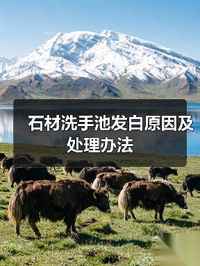 石材洗手池发白原因及处理办法（图1）