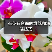 石英石台面的维修和清洁技巧（图2）
