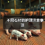 不同石材的护理注意事项(图3) 不同石材的护理注意事项(图3)