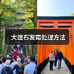 大理石发霉处理方法(图2) 大理石发霉处理方法(图2)