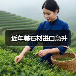 近年美石材进口急升(图4) 近年美石材进口急升(图4)