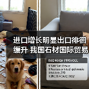 进口增长明显出口徘徊缓升 我国石材国际贸易额不乐观（图3）