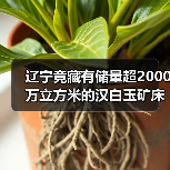辽宁竟藏有储量超2000万立方米的汉白玉矿床?(图2) 辽宁竟藏有储量超2000万立方米的汉白玉矿床?(图2)
