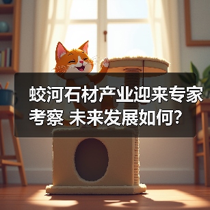 蛟河石材产业迎来专家考察 未来发展如何？（图1）
