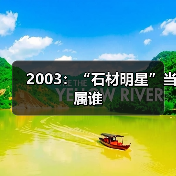 2003:“石材明星”当属谁(图3) 2003:“石材明星”当属谁(图3)