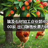 埃及石材加工企业超4000家 出口额增长潜力待释放(图2) 埃及石材加工企业超4000家 出口额增长潜力待释放(图2)