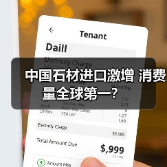 中国石材进口激增 消费量全球第一?(图2) 中国石材进口激增 消费量全球第一?(图2)