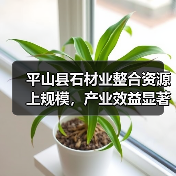平山县石材业整合资源上规模,产业效益显著提升(图4) 平山县石材业整合资源上规模,产业效益显著提升(图4)