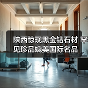 陕西惊现黑金钻石材 罕见珍品媲美国际名品（图4）