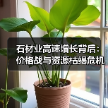 石材业高速增长背后：价格战与资源枯竭危机（图1）