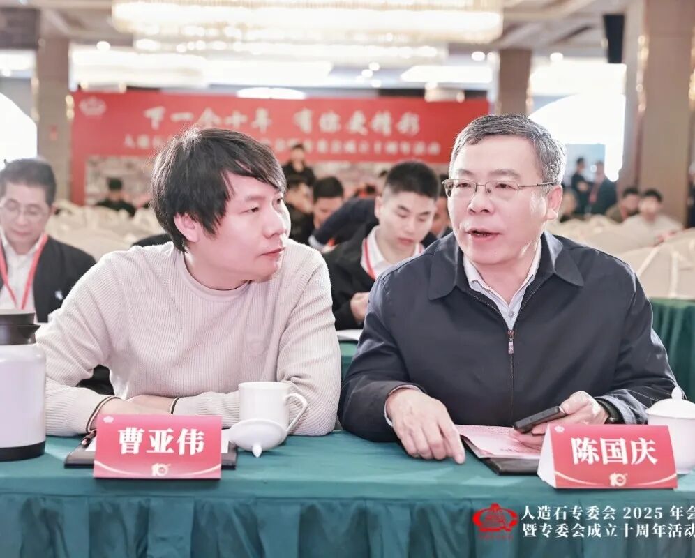 「团结共进 创新发展 再创辉煌」人造石专委会2025年会暨专委会成立十周年活动圆满举办(图8)