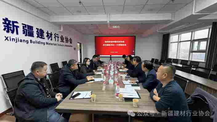 孙卫星一行莅临新疆建材行业协会调研指导(图1)