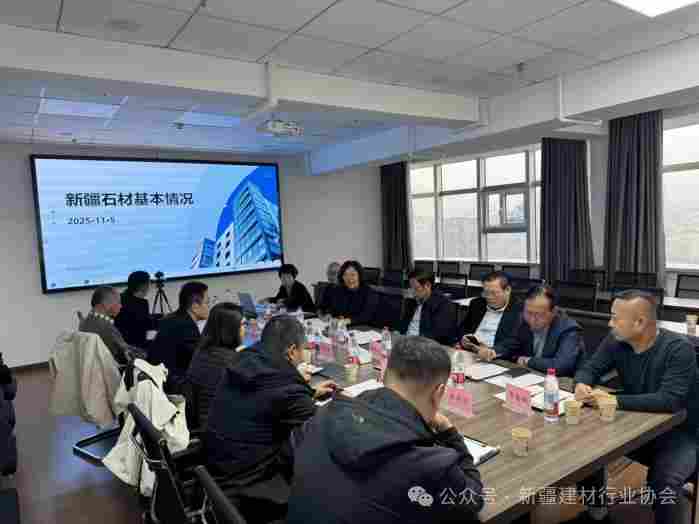 孙卫星一行莅临新疆建材行业协会调研指导(图3)