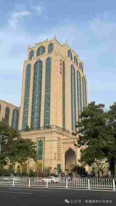 孙卫星一行莅临新疆建材行业协会调研指导(图4)