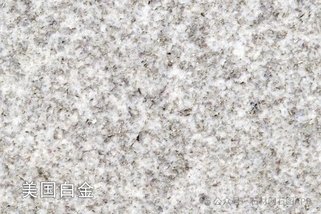 赢石而上，莱州石材展会开展！(图8)