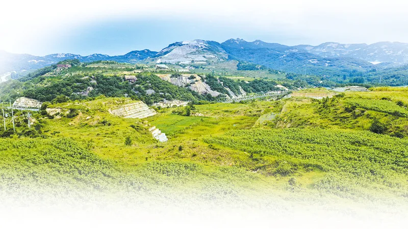 走进随县吴山镇、万和镇的石材矿区，探寻国家级绿色矿山创建背后的密码！(图1)