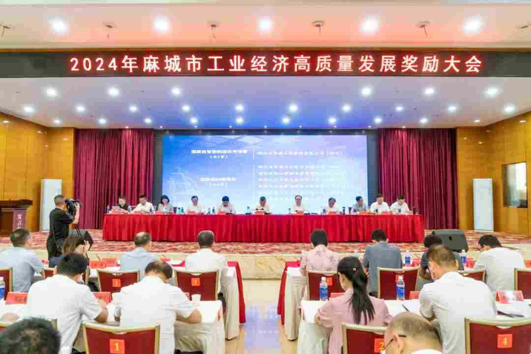 麻城：以“石”为基，叩响千亿特色产业新征程(图9)